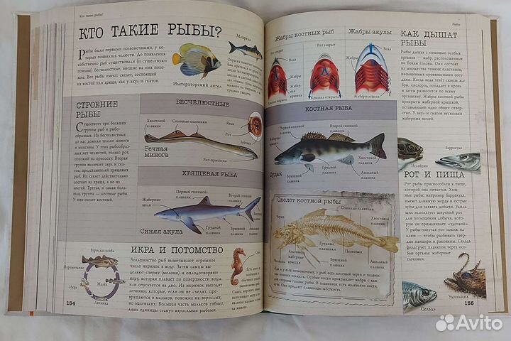 Детская энциклопедия Животные