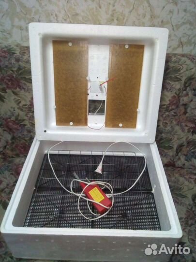 Инкубатор - идеальная наседка Торг