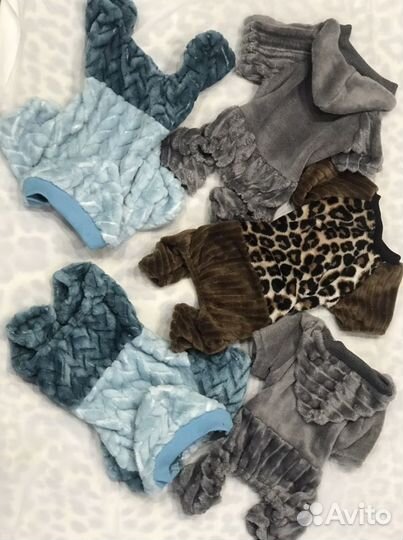 Одежда для маленьких собак