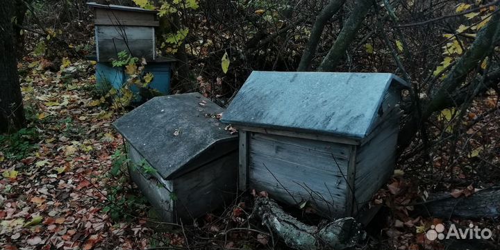 Ульи для пчел