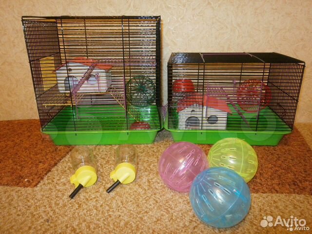 Джунгарские хомяки от заводчика, клетки