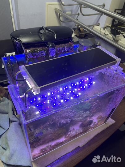 Морской аквариум без тумбы
