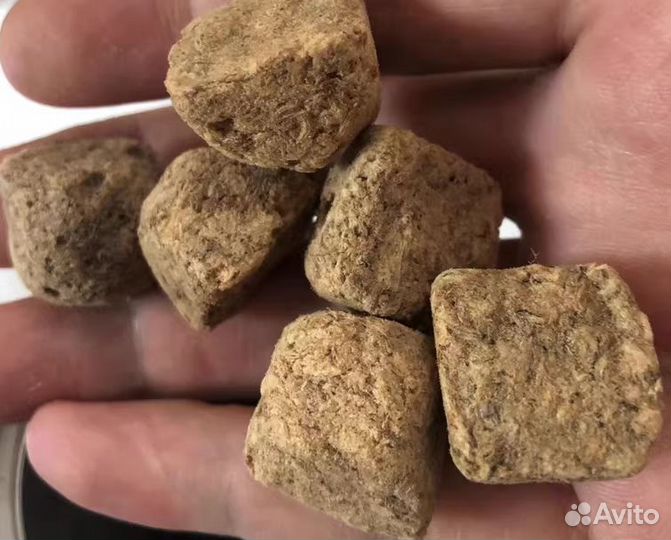 Сублимированные рачки артемии, 600 мл/80 г