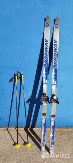 Беговые лыжи