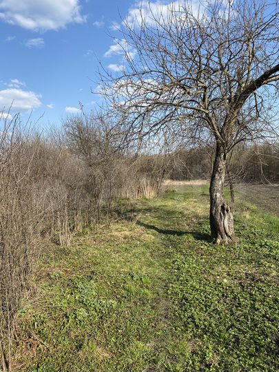 Дом 32,9 м² на участке 23 сот.