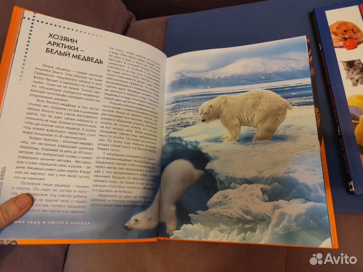 Энциклопедия животного мира,домашних животных