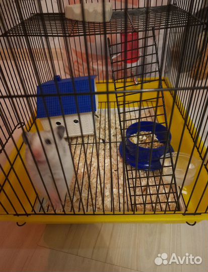 Клетка для хомяка
