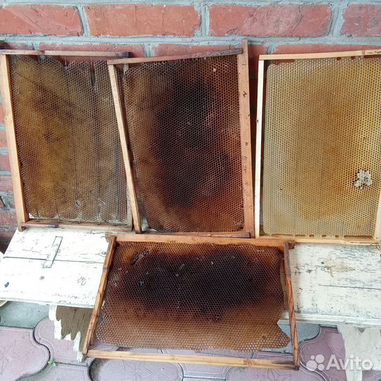 Рамки с вощиной(сушь)