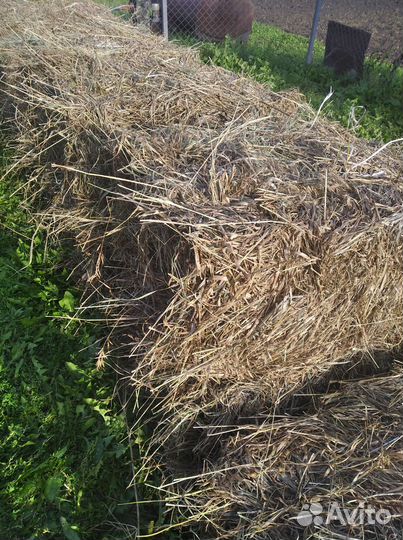 Продам сено в тюках