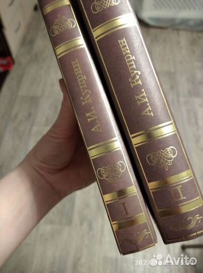 Новые книги рассказы Куприна