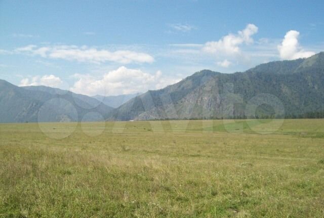 Участок 40 сот. (СНТ, ДНП)