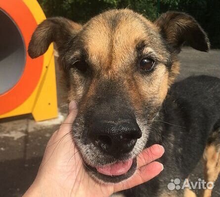 Тимоша, мой ангел