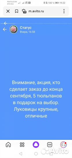 Пионы редкие сорта, корни и саженцы