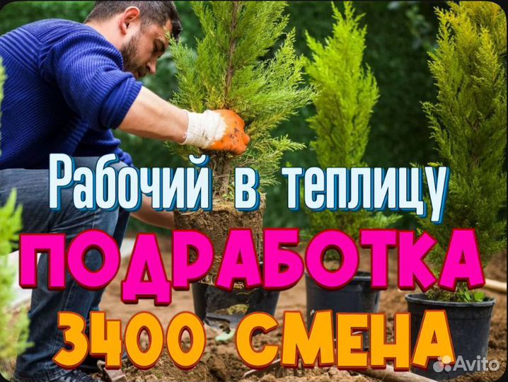 Сборщик в теплицу Подработка/Работа