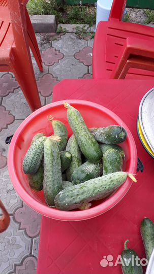 Продукты питания