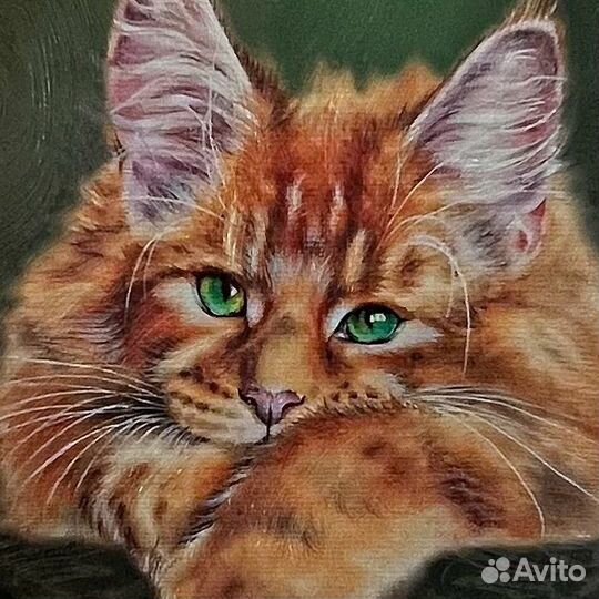Картина Рыжий кот