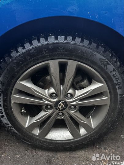 Accelera 651 205/55 R16