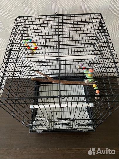 Клетка для попугая корелла
