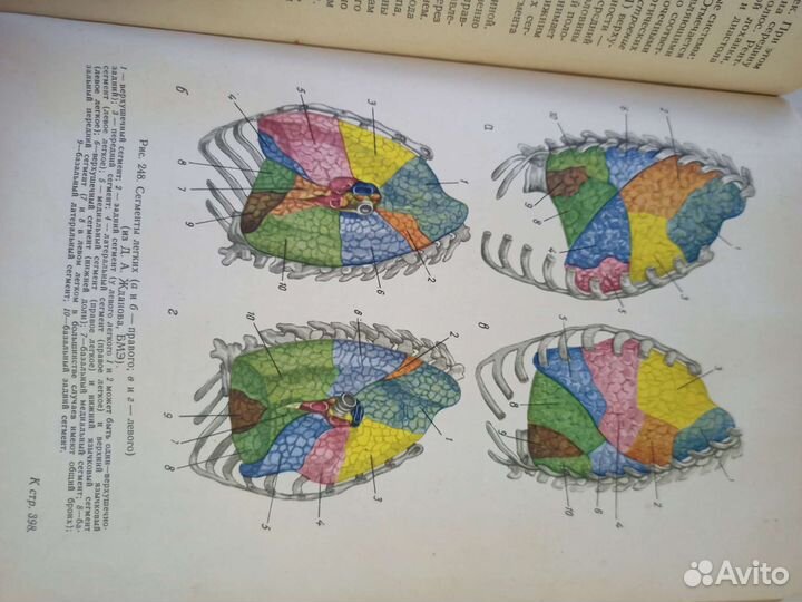 Справочник анатомии 1969 год