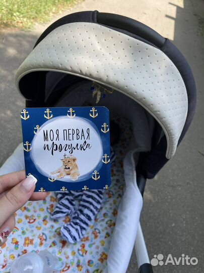 Коляска 2в1 adamex encore