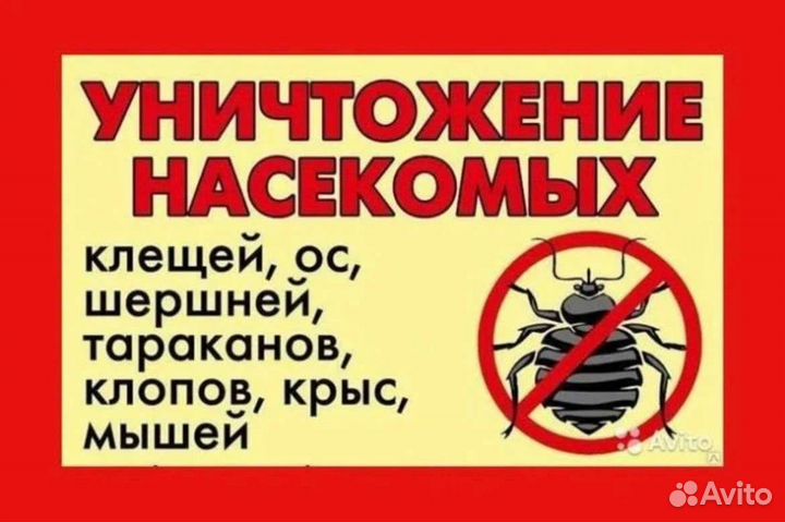 Дезинфекция