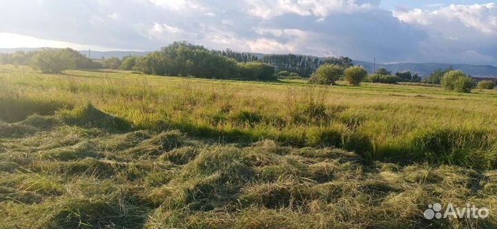 Кормовое Сено мешками