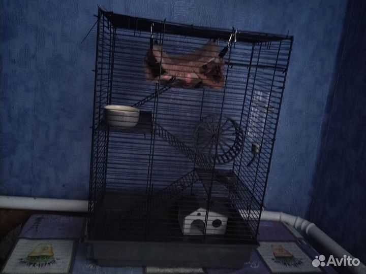 Клетка для грызунов,крыс