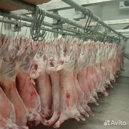 Баранина в тушах и полутушах