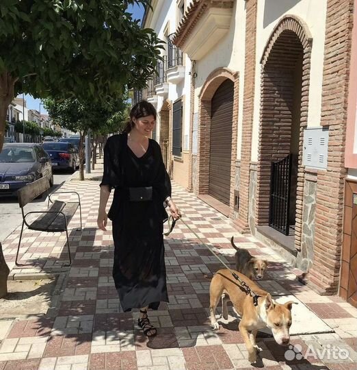 Передержка домашних животных