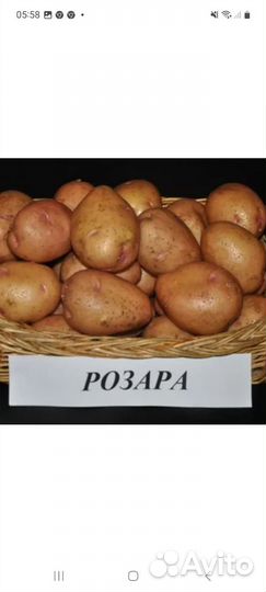 Продам картофель с доставкой