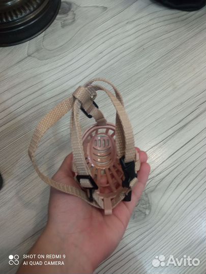 Намордник для собак