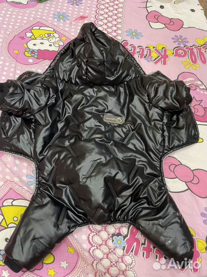 Одежда для собак