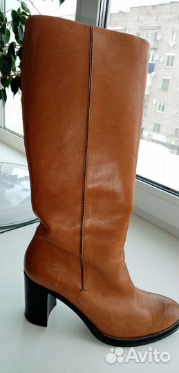 Сапоги женские демисезонные