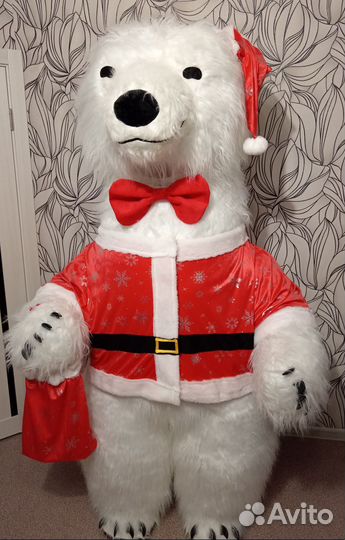 Белый Чёрный медведь, поздравление