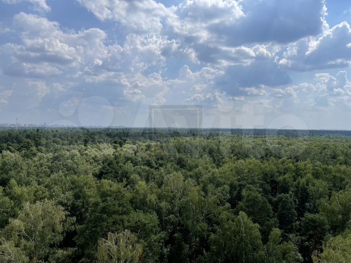 2-к. квартира, 44 м², 13/19 эт.