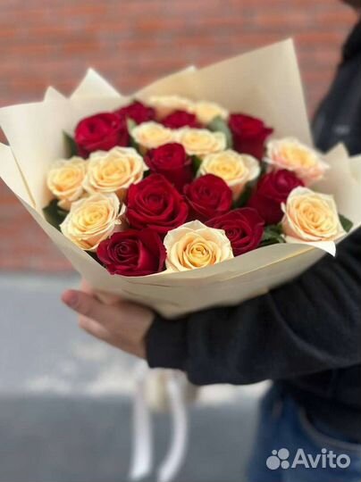 Розы голландия. Букет 25 роз