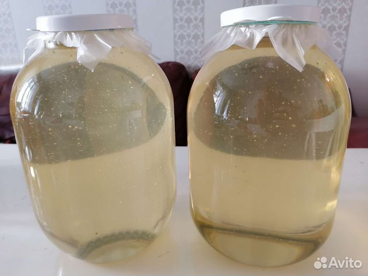 Белая Акация 3 литра 2023. Акациевый мед