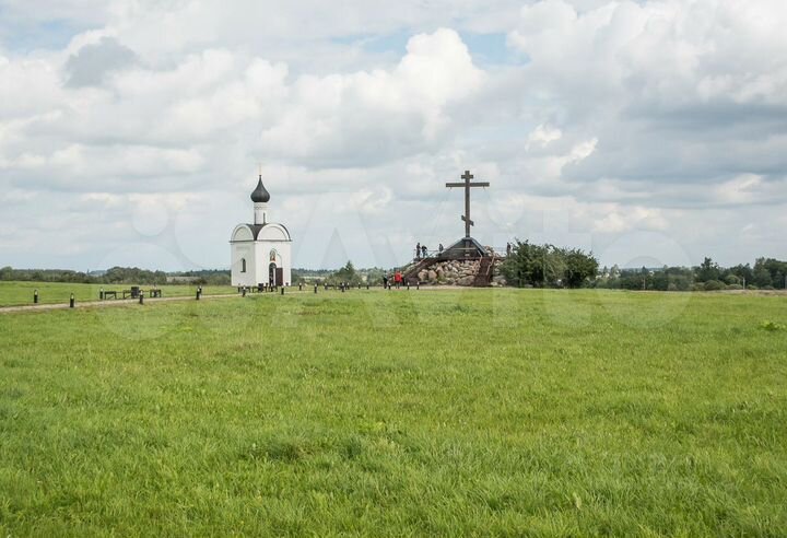 Участок 50 сот. (ИЖС)