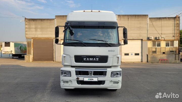 КамАЗ 5490 NEO, 2017