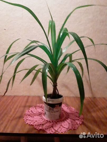 Салфетка вязаная Крючком ручная работа