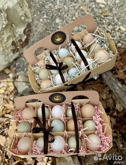 Контейнер для яиц