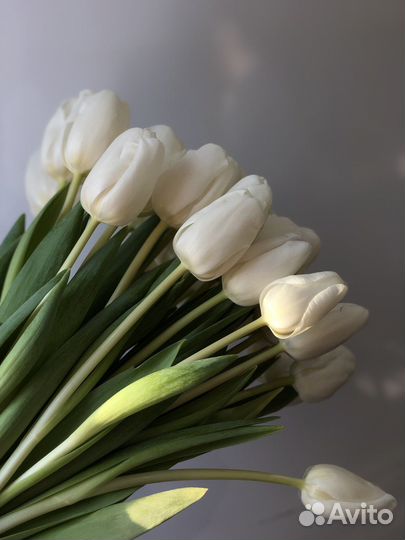 Тюльпаны к 8 марта букет