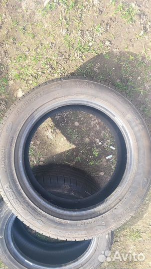 Lassa Greenways 205/55 R16 91V