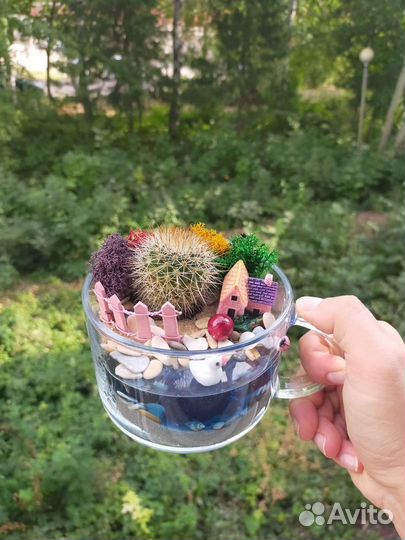 Флорариум под заказ