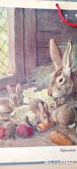 Постер/плакат/ пособие дет. садов/ ссср/кролики
