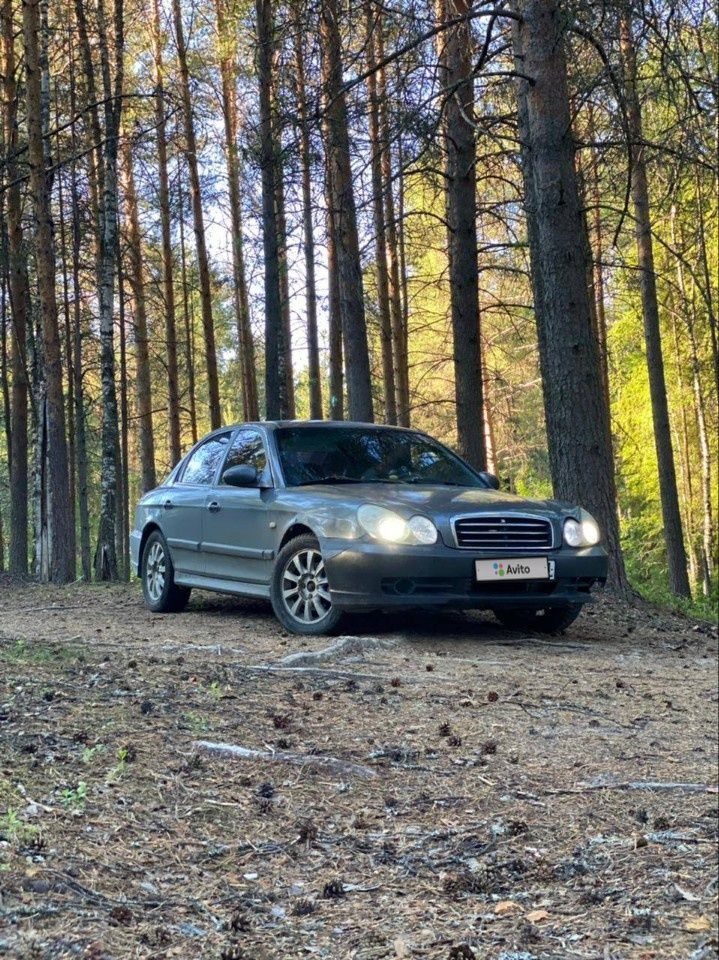 Hyundai Sonata: фото владельца