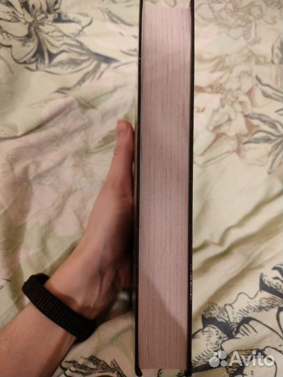 Стефани Гарбер: Караваль