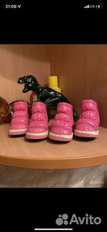 Ботинки для маленьких собак