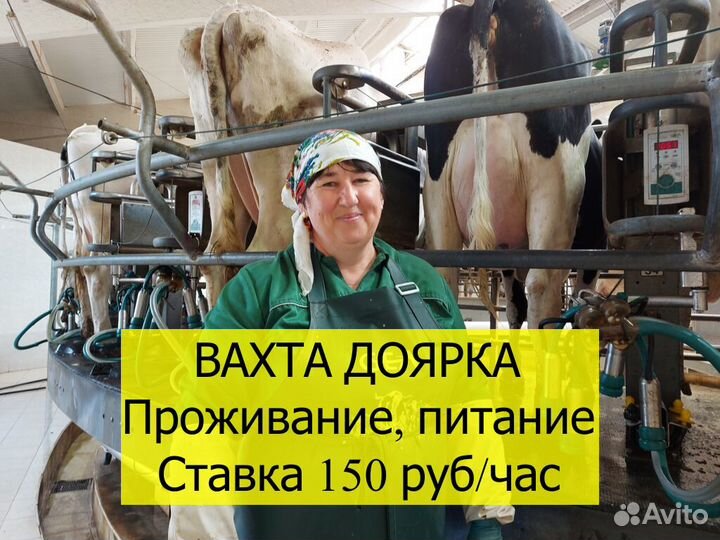 Дояр на производство Вахта Хорошие условия 18+