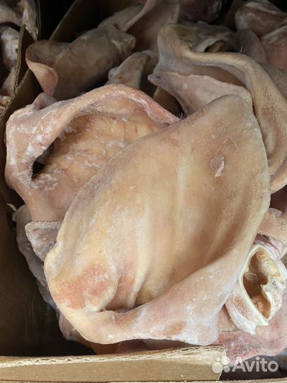 Уши свиные замороженные